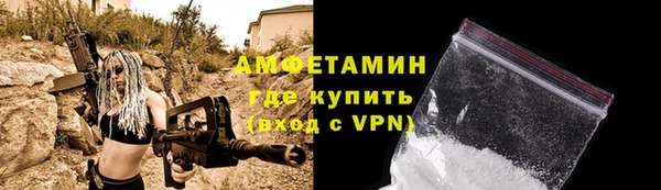 сатива Баксан