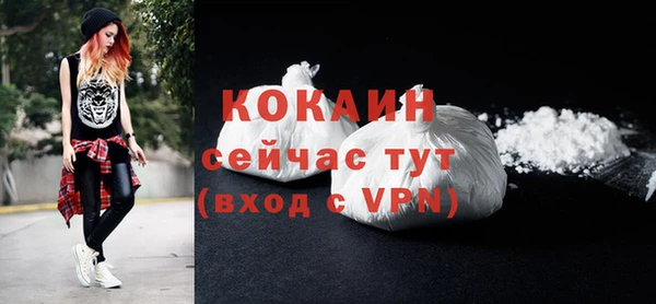 твердый Балахна