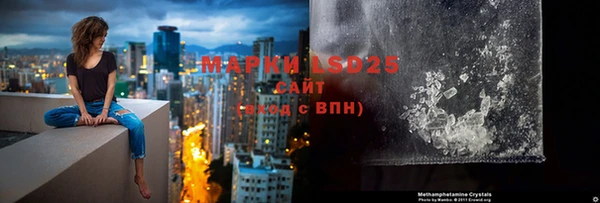 сатива Баксан