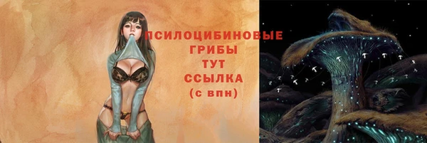 твердый Балахна