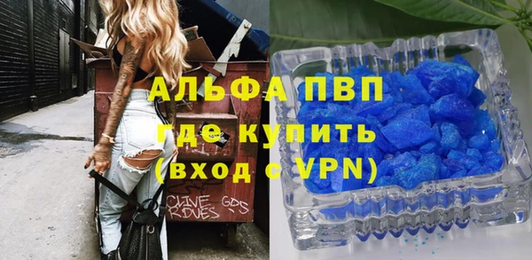 сатива Баксан