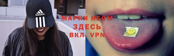 сатива Баксан