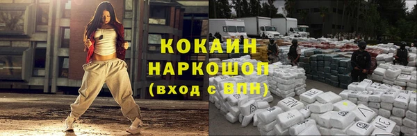 сатива Баксан